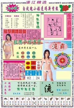 濠江精选B